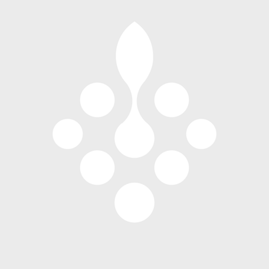 Icon BS-Systeme GmbH